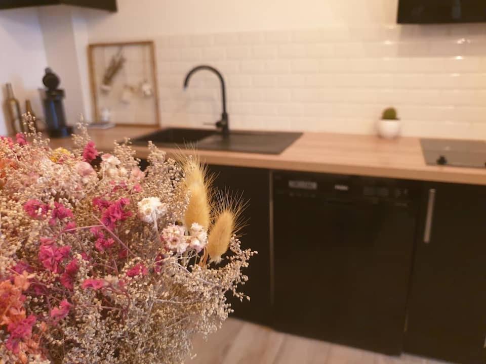 Le Citybreak - Studio Hypercentre Saint Denis Ngoại thất bức ảnh
